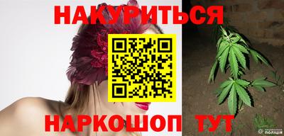 стаф Новодвинск