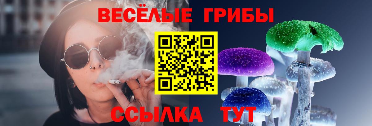 как найти закладки  Галлюциногенные грибы MAGIC MUSHROOMS  Удомля  Вход с VPN  Псилоцибиновые грибы Magic Shrooms 